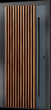 Türdesign ML-03 aus der Kollektion Modern Line